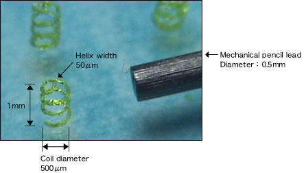 Coil spring model